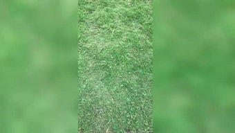 歡迎來到林木木1的個人頻道 一個關于成長、生活與思考的小小宇宙